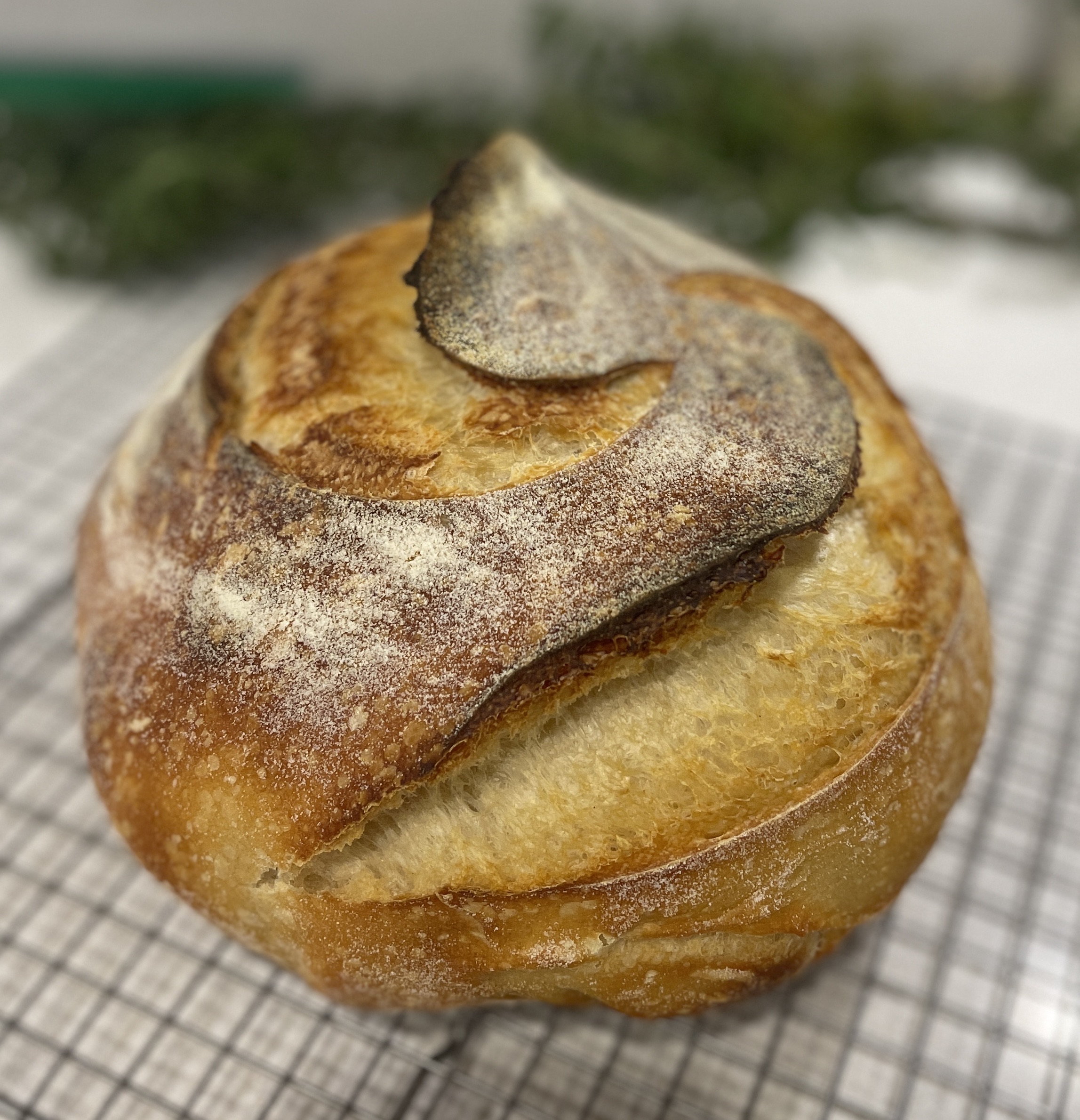 Sourdough Bread