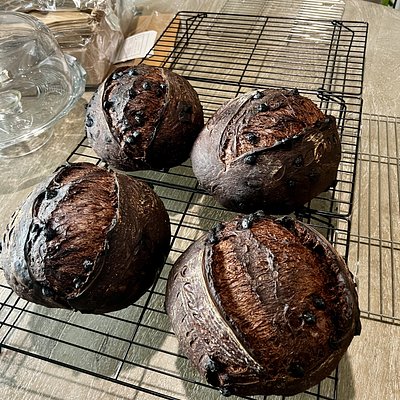 Double Chocolate Chip Sourdough Loaf