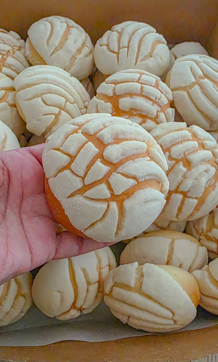 Mini Conchitas 