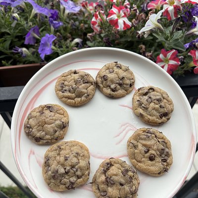 MINI Columbia River chocolate Chip Six Pack 