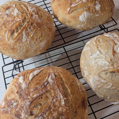 Plain Sourdough Boule 