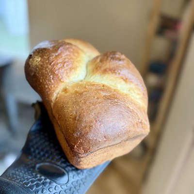 Original Sourdough Brioche Loaf