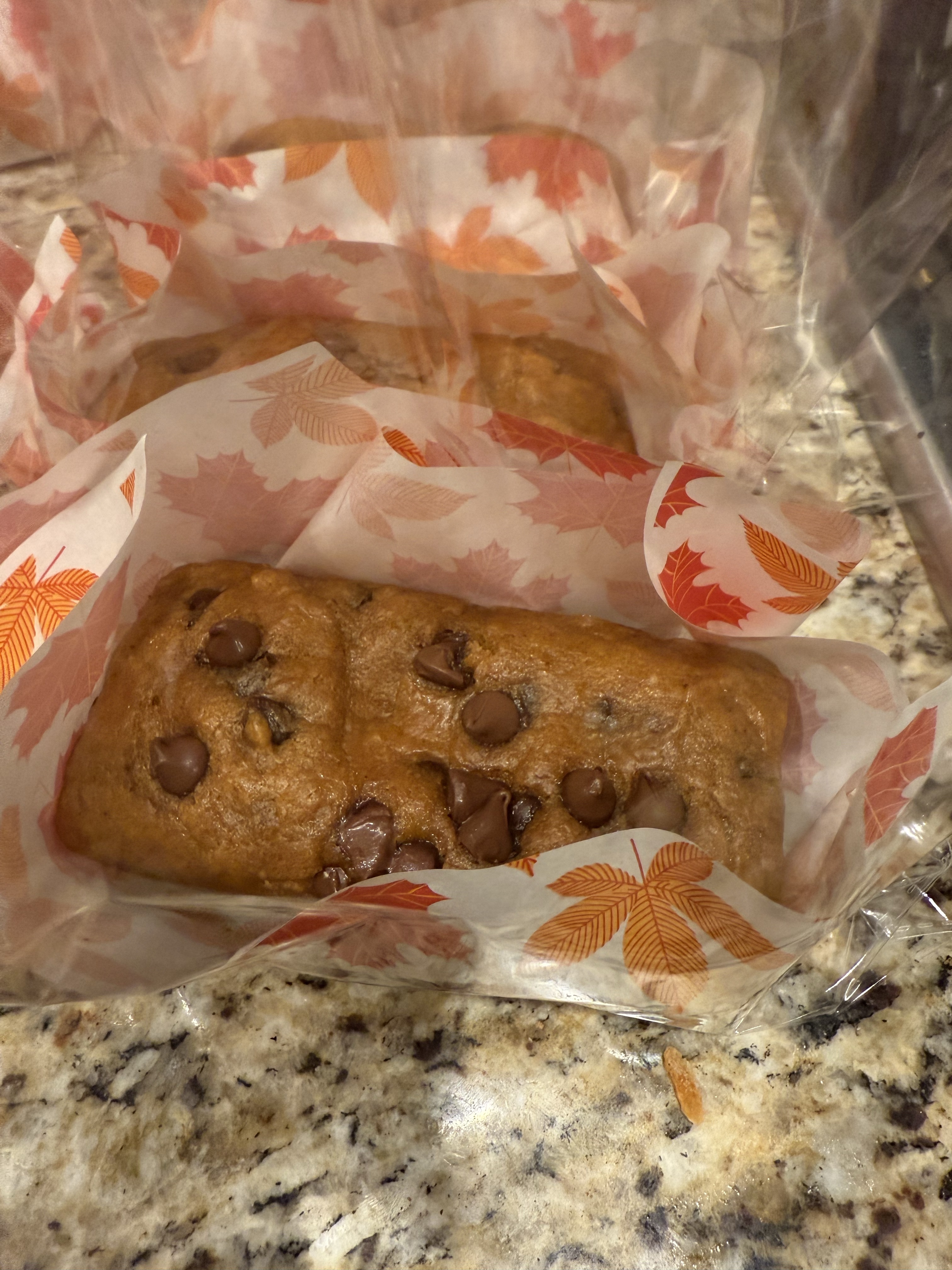 Pumpkin Chocolate Chip Mini Loaf