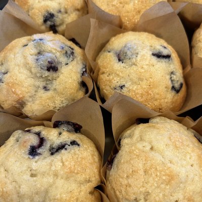 Blueberry Muffins (6)