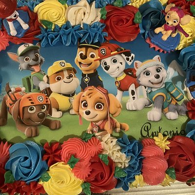 1/2 Sheet Cake