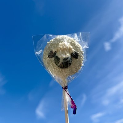 *Custom* Dozen Cake Pops