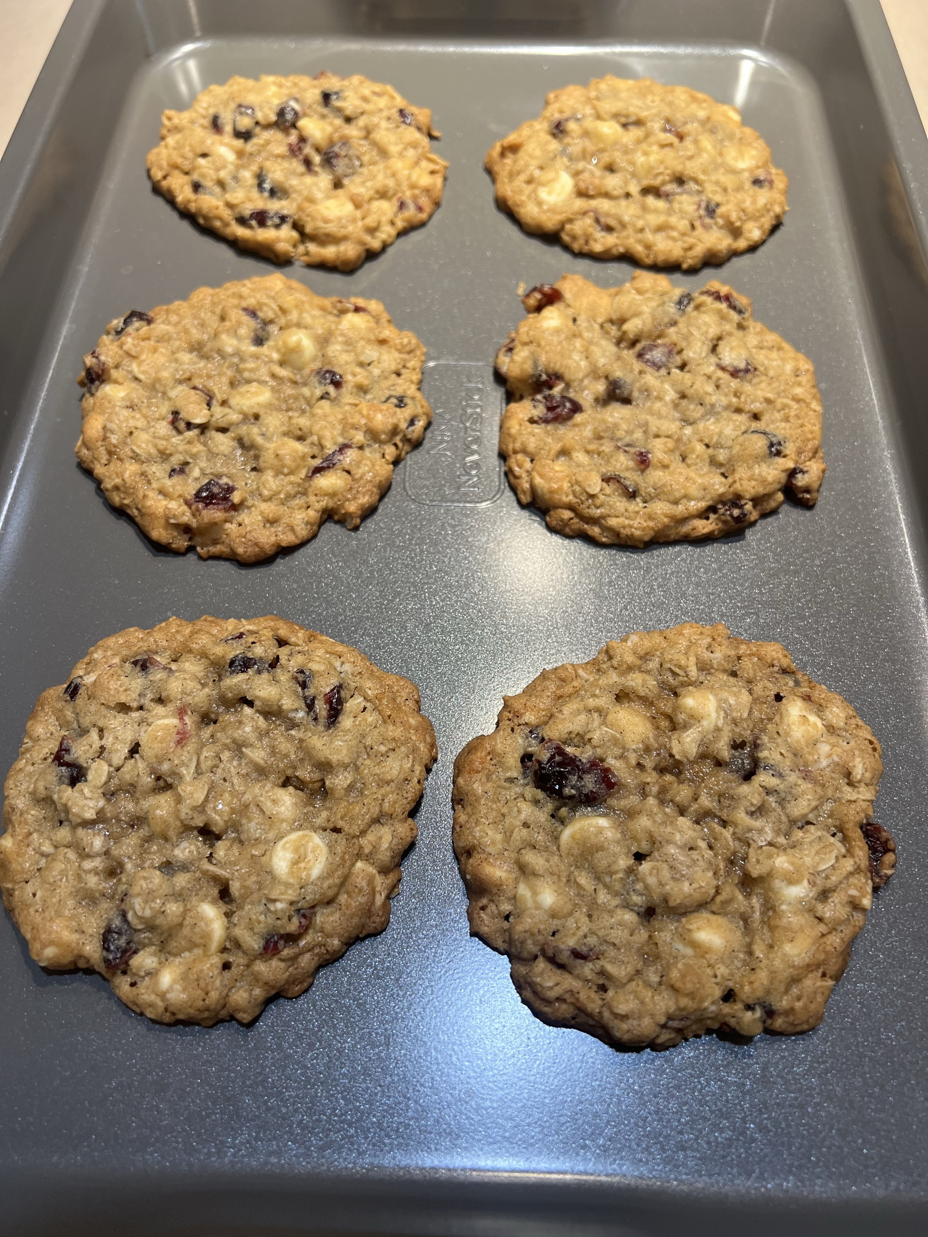 Cranberry White Chocolate Oatmeal
