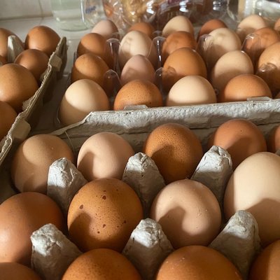 Farm Fresh Eggs (1 Dozen)
