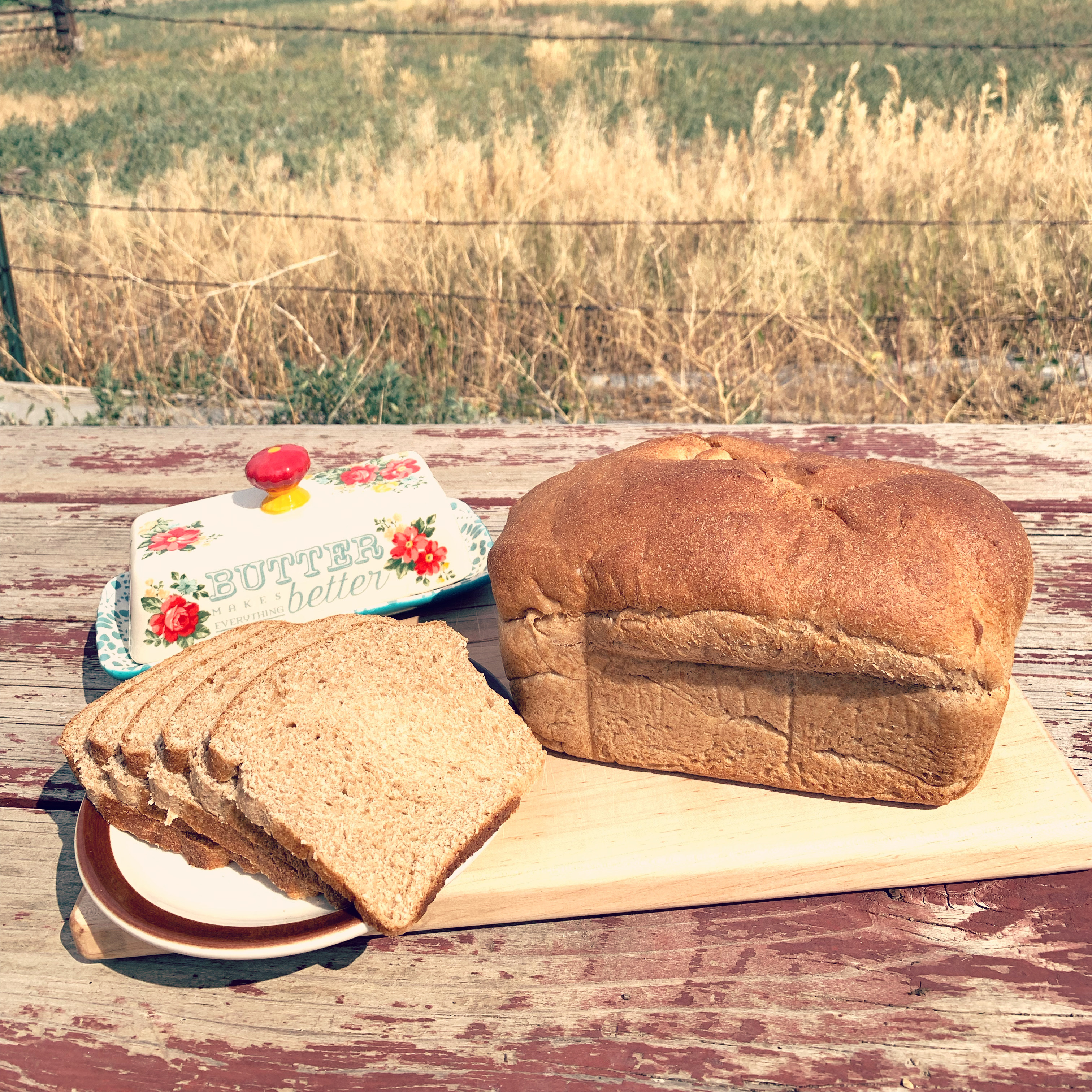 Honey Wheat Bread