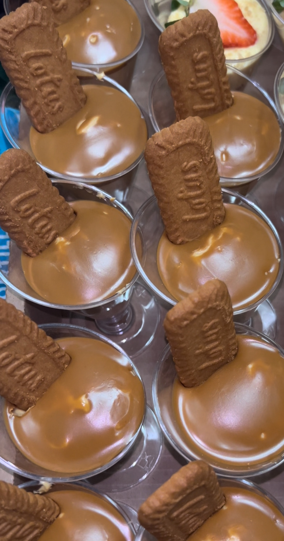molten crave 