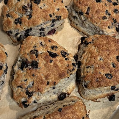 BLUEBERRY SCONES (Box Of Four) 