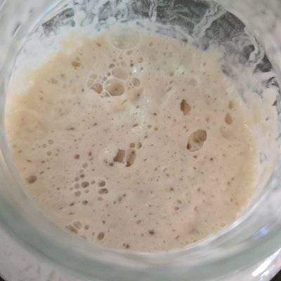 Active Sourdough Starter (10g)