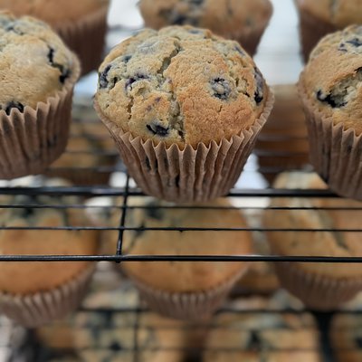 Sourdough Blueberry Muffin