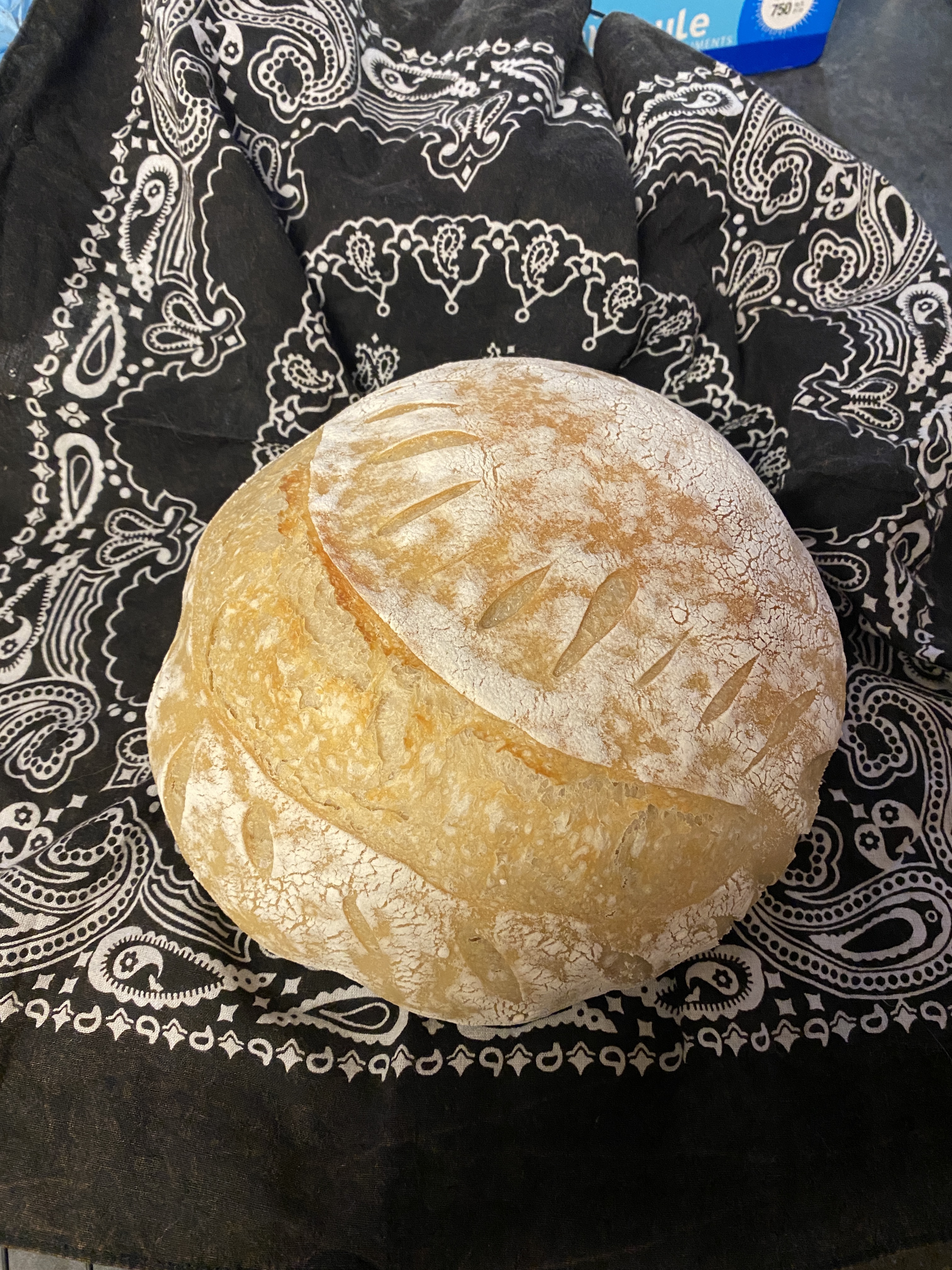 Sourdough 