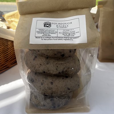 Sourdough Blueberry Bagels - Half Dozen