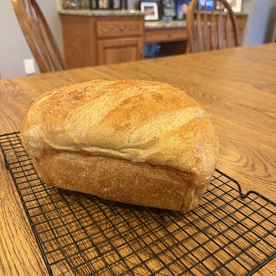 Honey Whole Wheat SD sandwich 