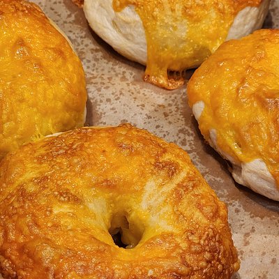 Cheddar Cheese Bagels 