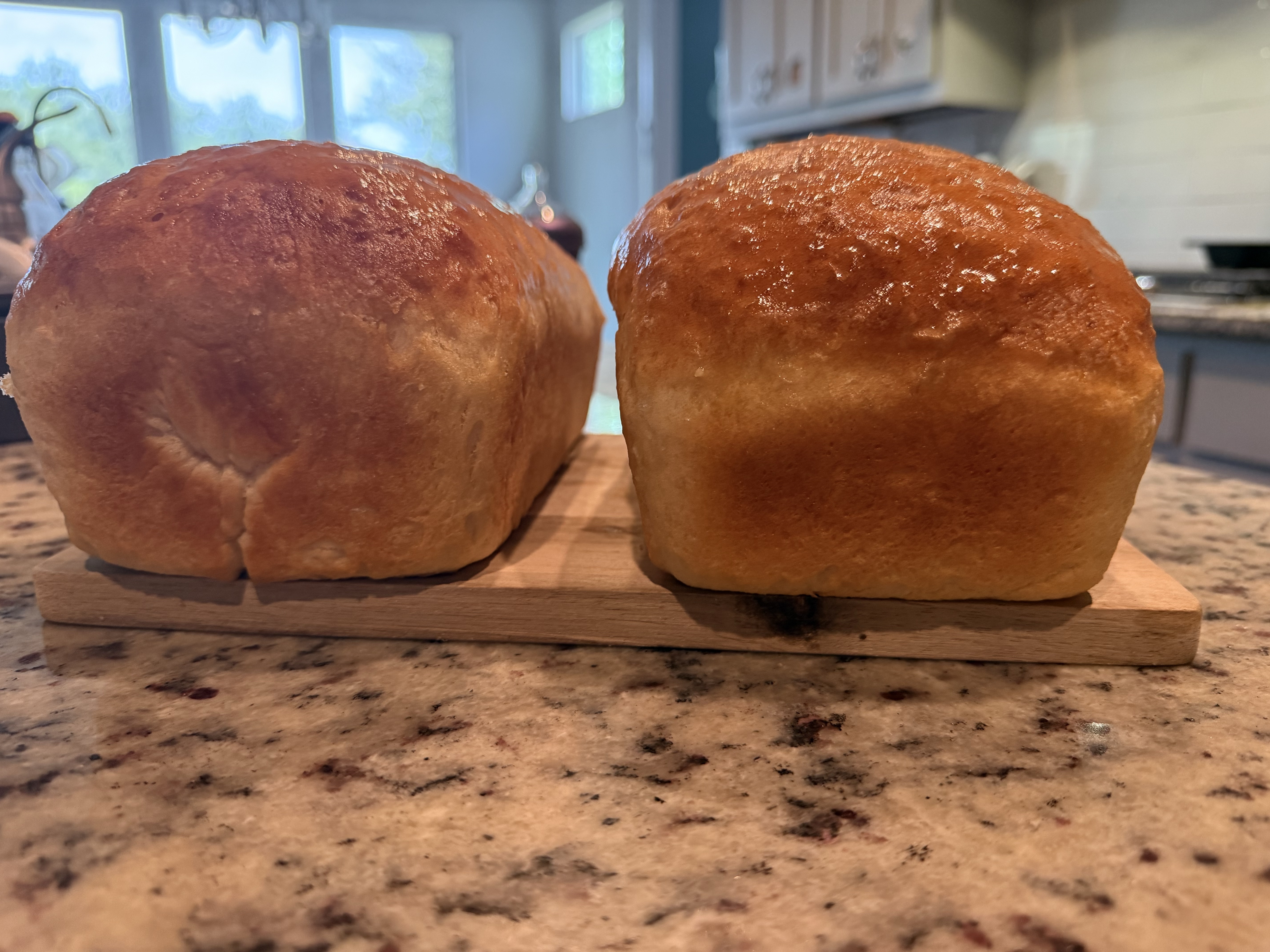 Fresh Bread 