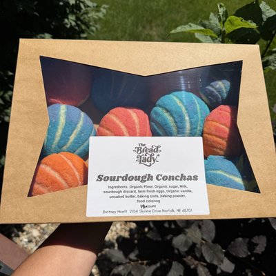 Sourdough Conchas (mini)