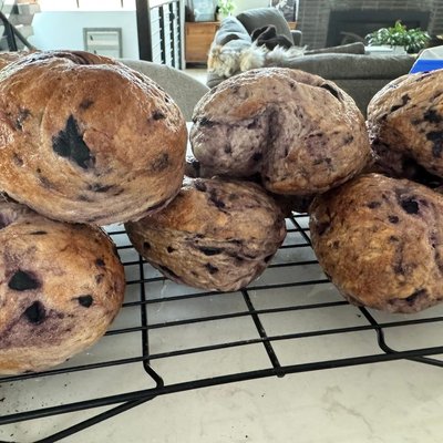 Organic Sourdough Bagels
