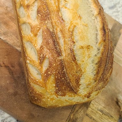 Regular Artisan Loaf