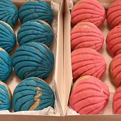 Gender Reveal