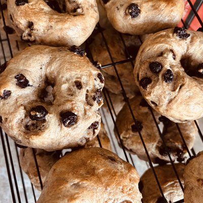 Bagels Set Of 5