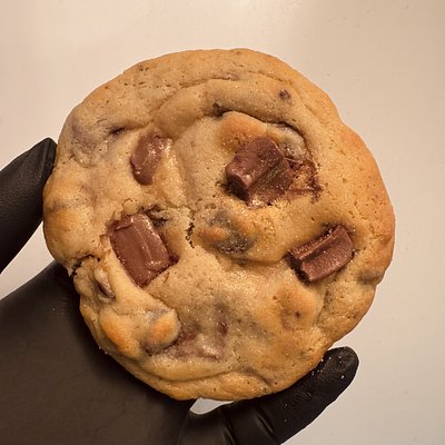 Chocolate Chip 