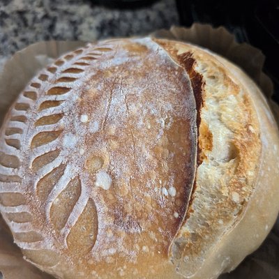 Classic Sourdough Loaf
