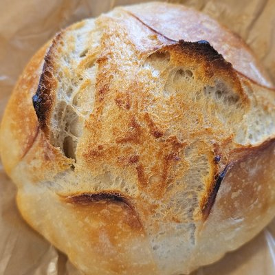 Sourdough Loaf 