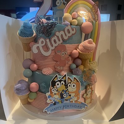 Bluey 2 Tier Cake