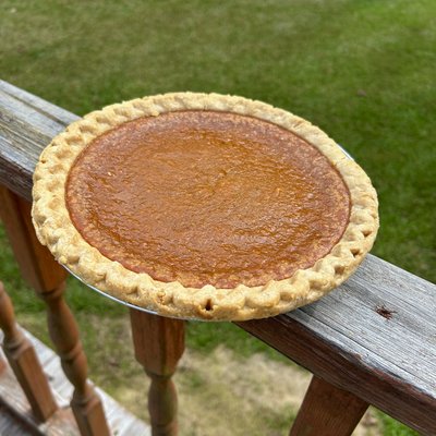 Pies 