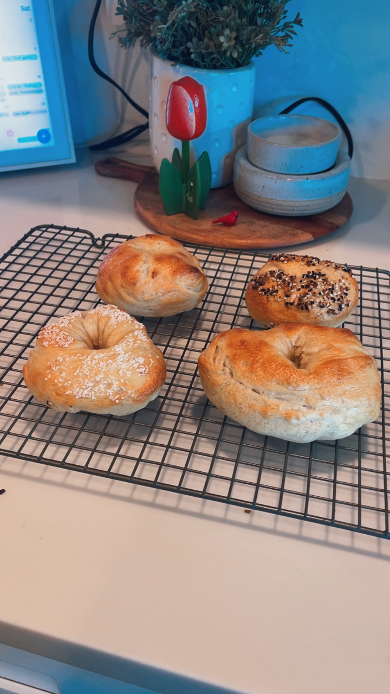 Sourdough Bagels