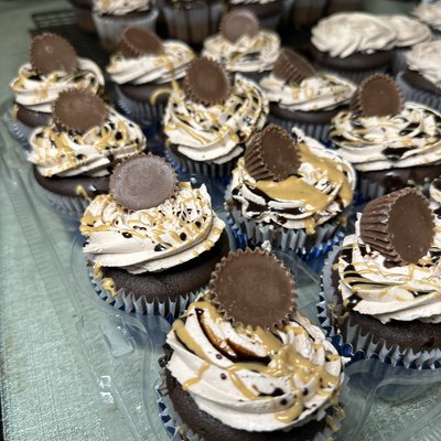 6 Pack Cupcakes