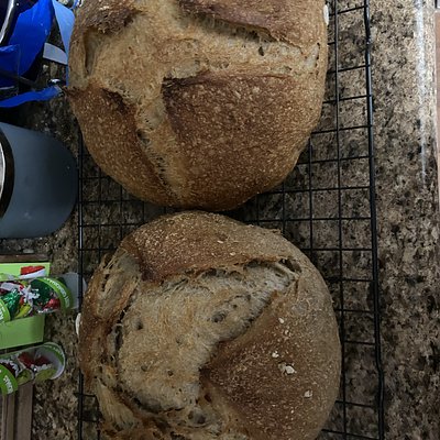 Rye Bread
