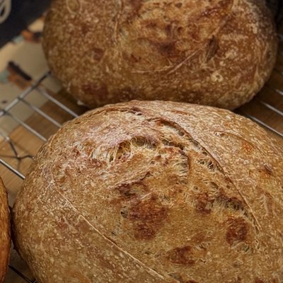 Garlic Mozzarella Sourdough