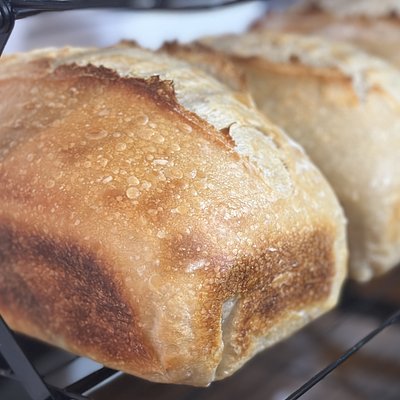 Plain Sourdough Sandwich Loaf (unsliced)