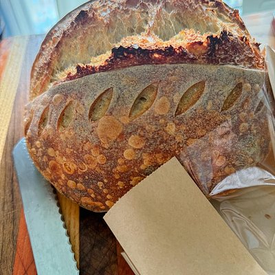 Artisan Sourdough Loaf