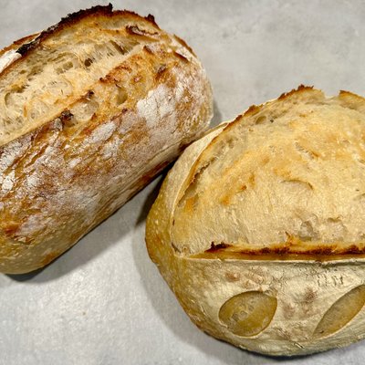 Plain Sourdough 