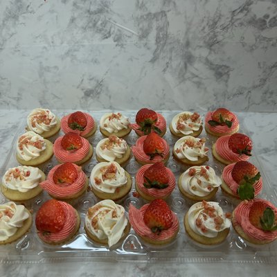 Mini Cupcakes 