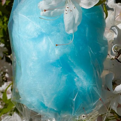 Lollipop Wrapped Cotton Candy (1 Flavour)