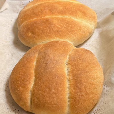 Telera
