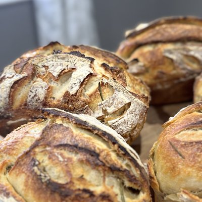 Rosemary Parmesan Sourdough Loaf