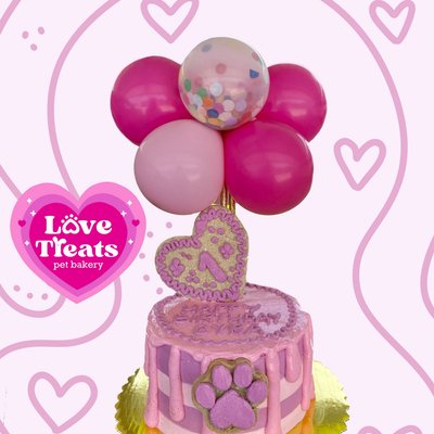 Drip Barkday Cake + Single Treat Topper (single tier 5x3 inch)