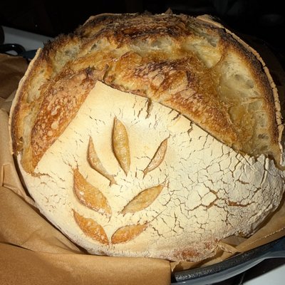 Plain Sourdough Loaf
