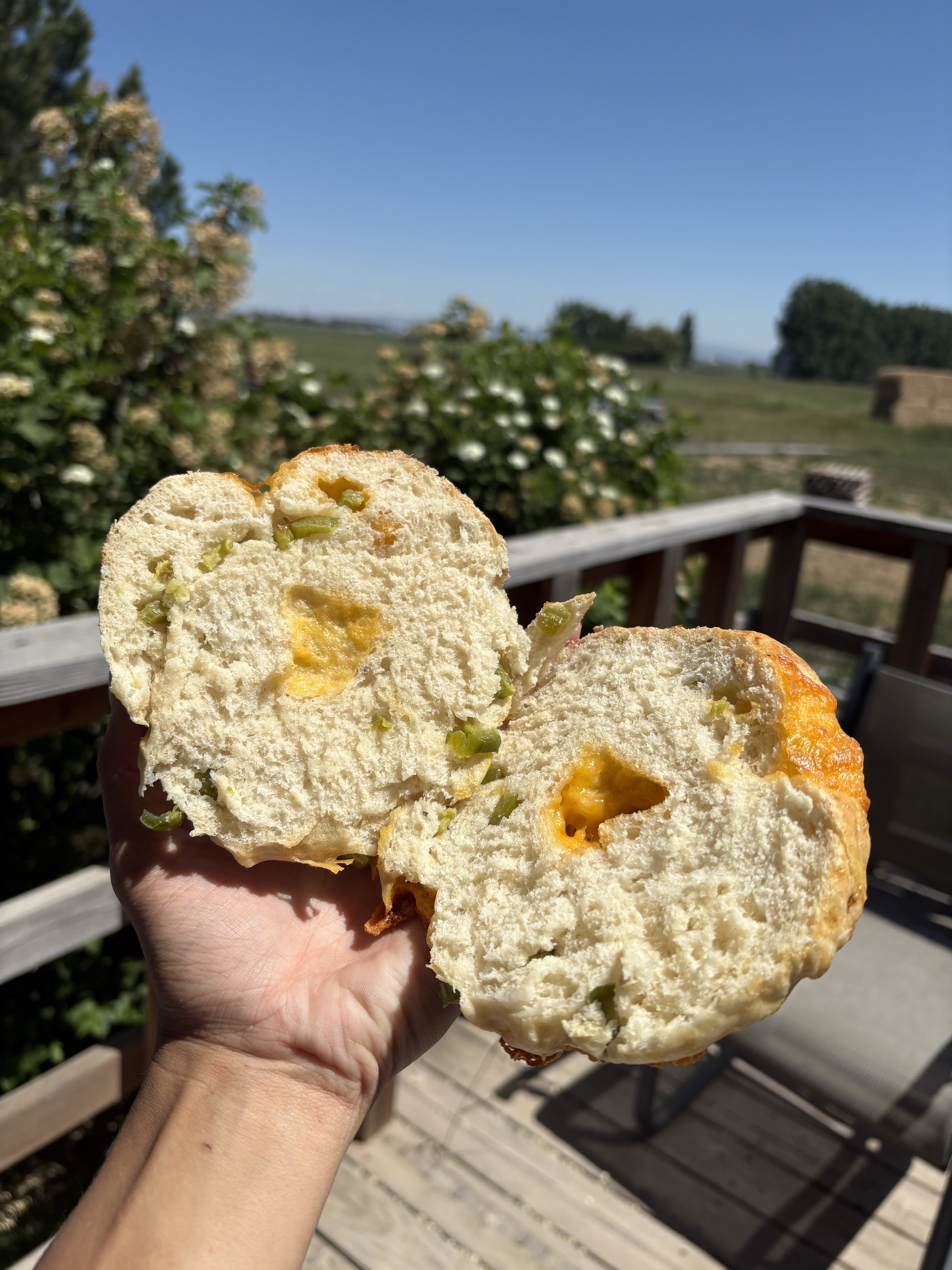 Jalapeño Cheddar Bagels 