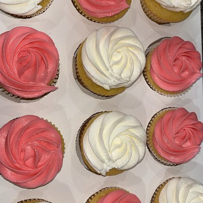 Basic Cupcakes 
