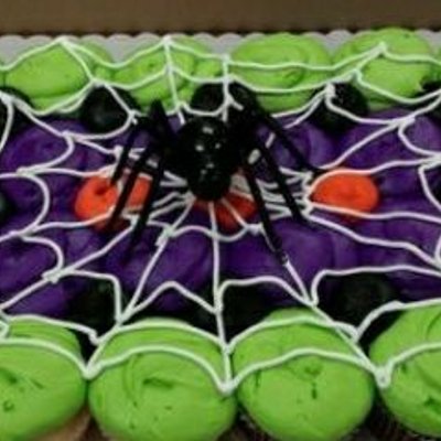 Spider