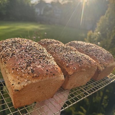 Harvest Grains Bread