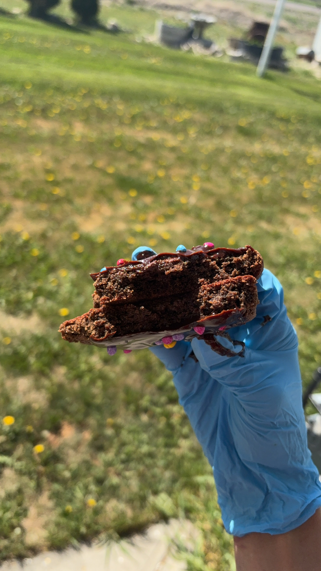 Cosmic Brownie 